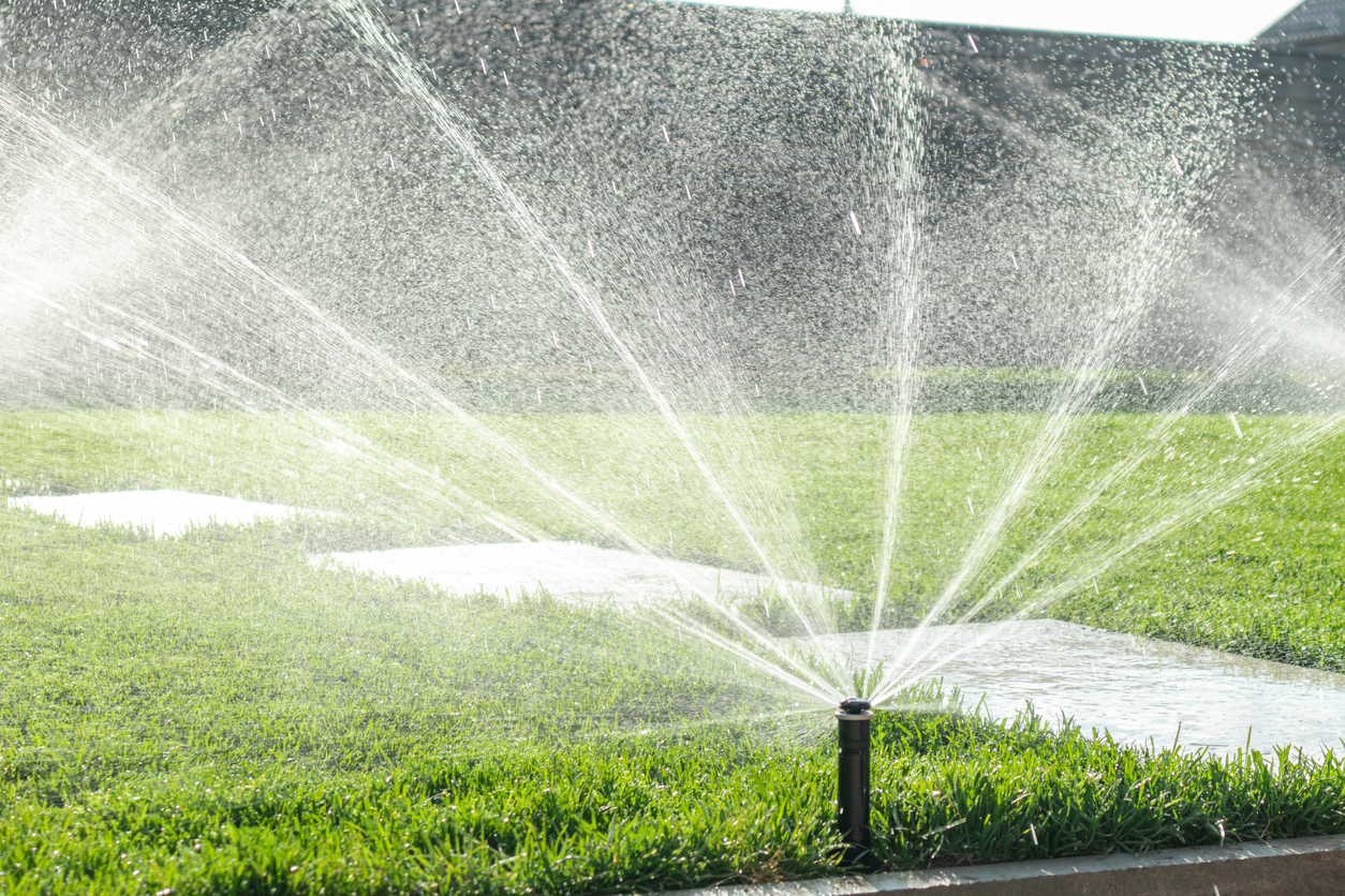 Garden irrigation system watering lawn. Automatic lawn sprinkler watering green grass.