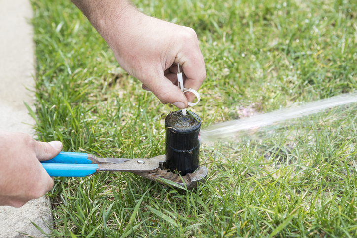 A pop-up sprinkler system head is being adjusted with a key to decrease or increase radius of the spray.